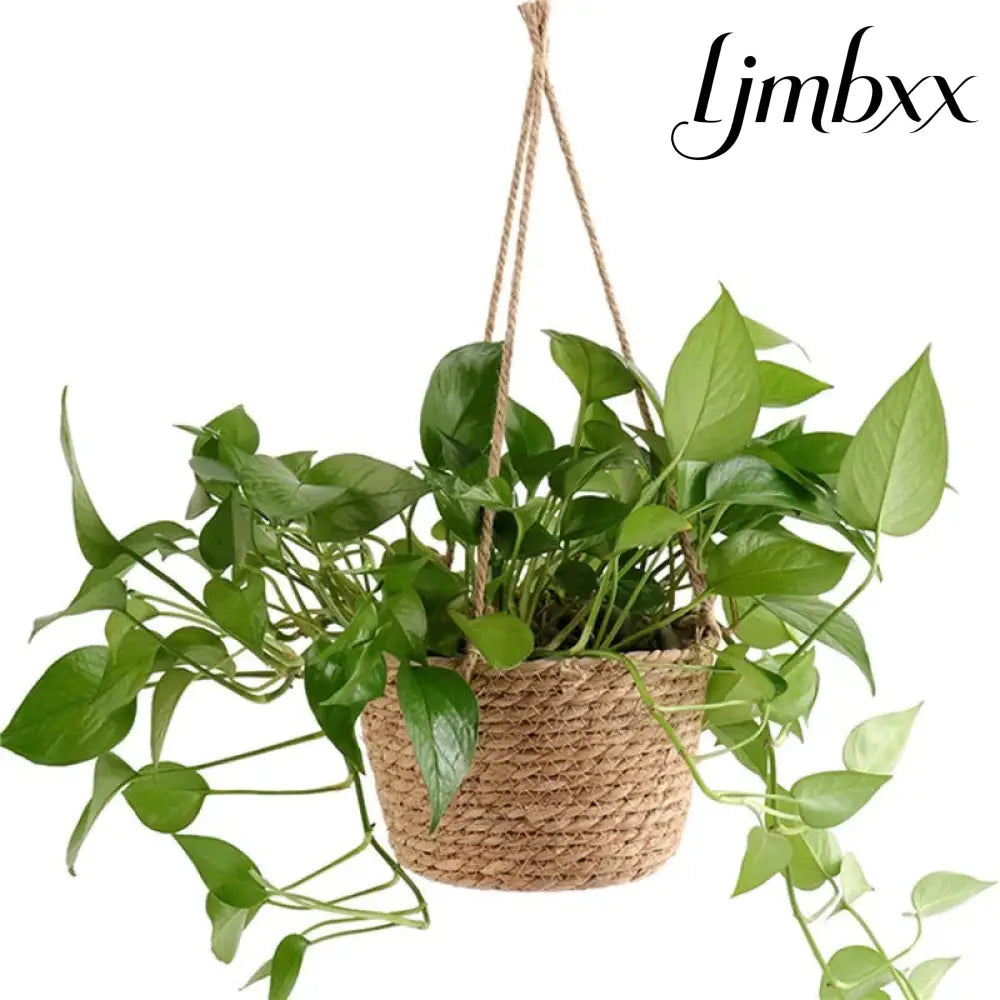 Macrame Hanging Planter Basket - Hanging Planter