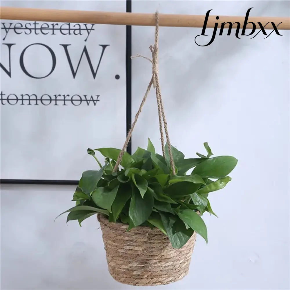 Macrame Hanging Planter Basket - Hanging Planter